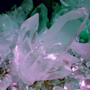 Meet your Posher, Sofia